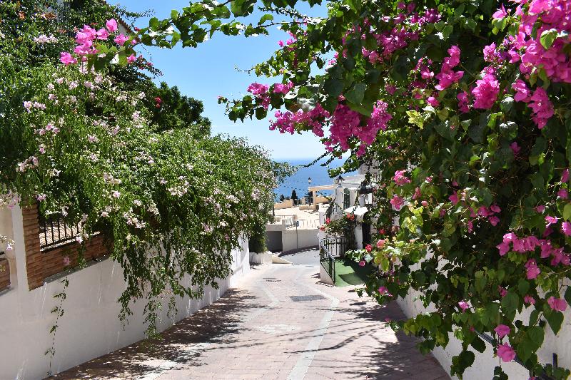 Une rue du village en été