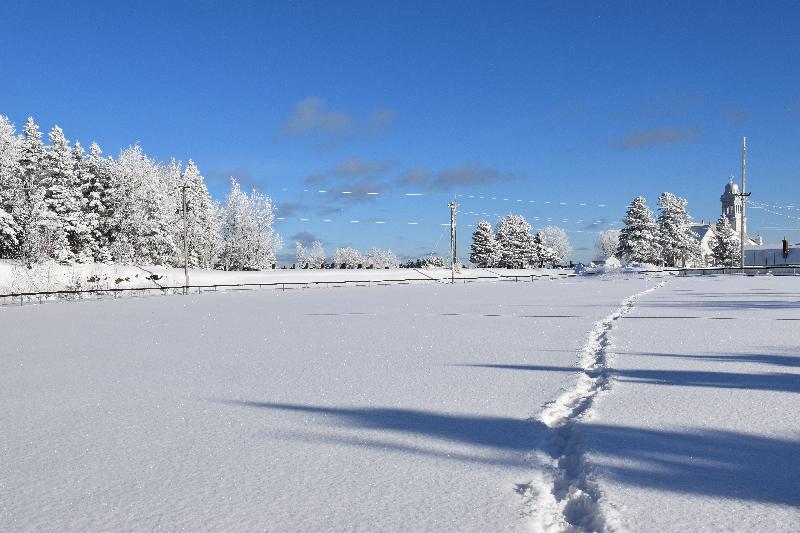 Des traces de pas dans la neige