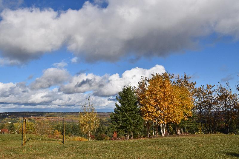 Des nuages dans un ciel d'automne