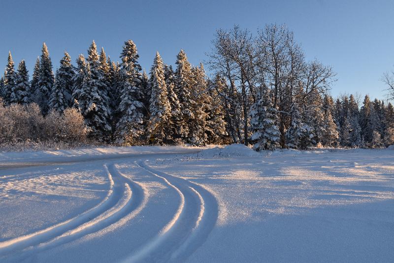 Des traces de pneus sur la route