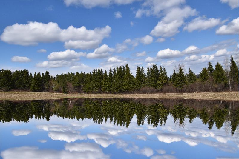 Reflet sur le lac au printemps