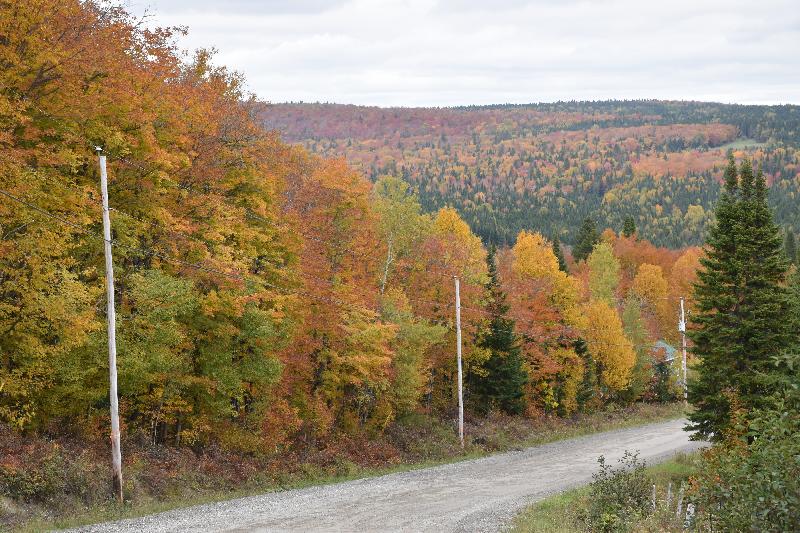 La route du lac à l'automne