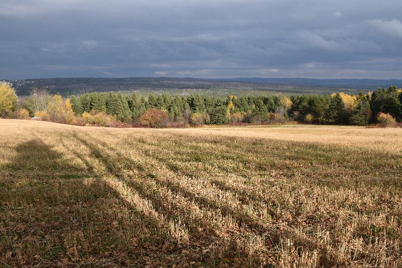 Un champ après la récolte de l'automne