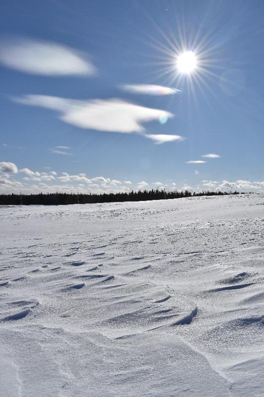 Un champ sous un ciel d'hiver