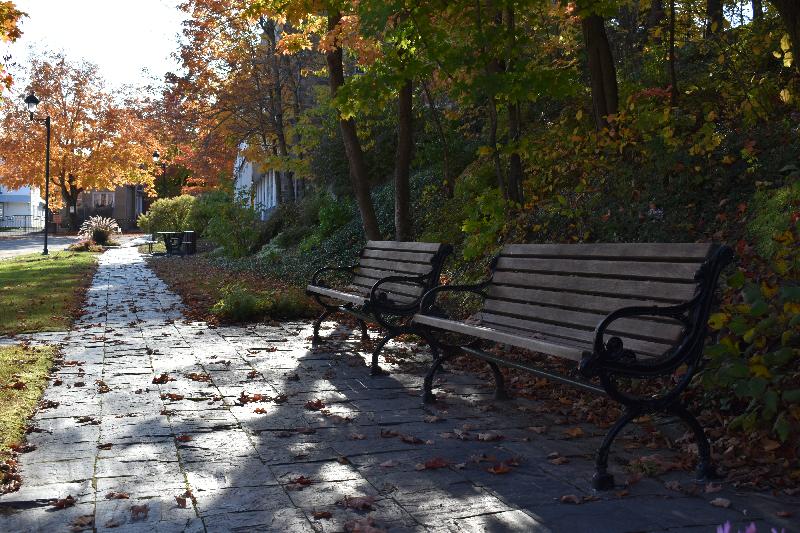 Des bancs au parc en automne