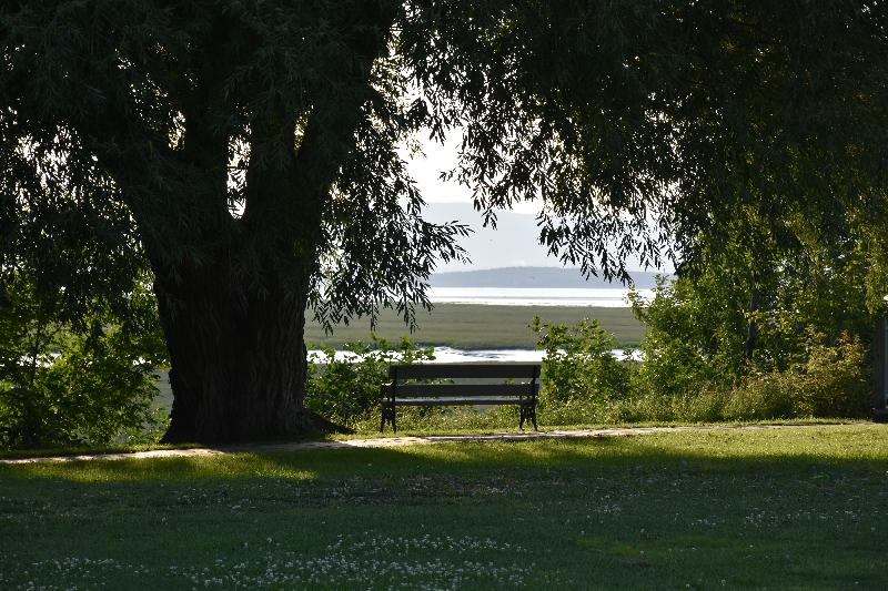 Un banc sous les arbres