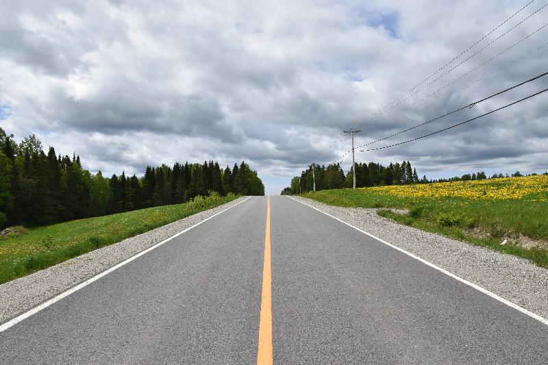 Une route de campagne déserte en été