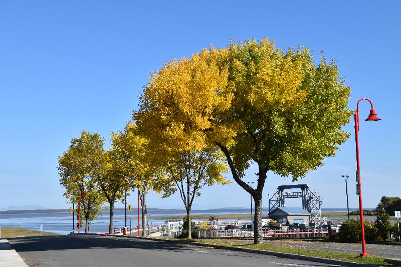 La traverse en automne