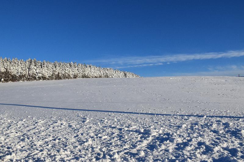 Un champ enneigé sous un ciel bleu