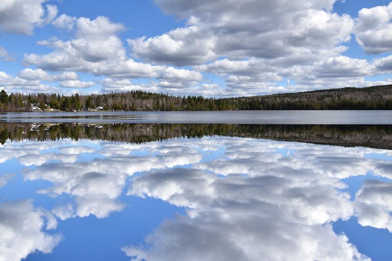 Reflet sur le lac au printemps