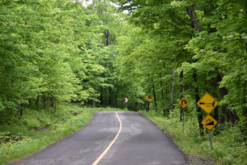 Une route de campagne en été