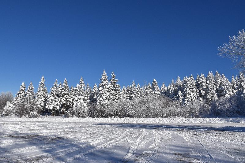 Le rang du nord en hiver