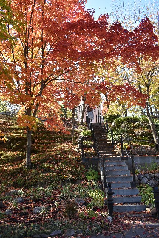 Le parc du village en automne