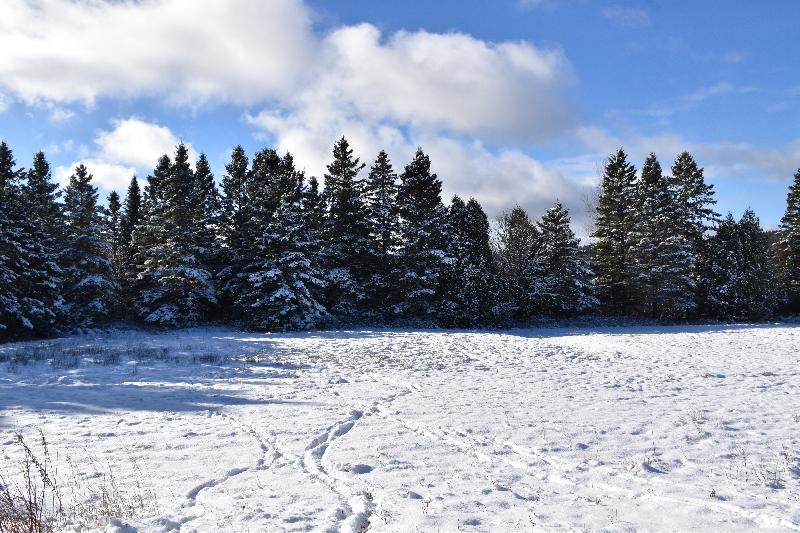 La première neige à l'automne