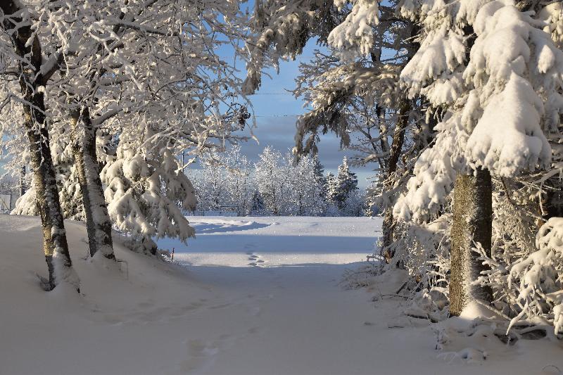 Un sentier de motoneige