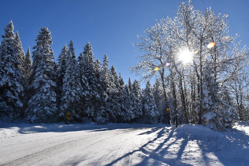 Le rang du nord en hiver