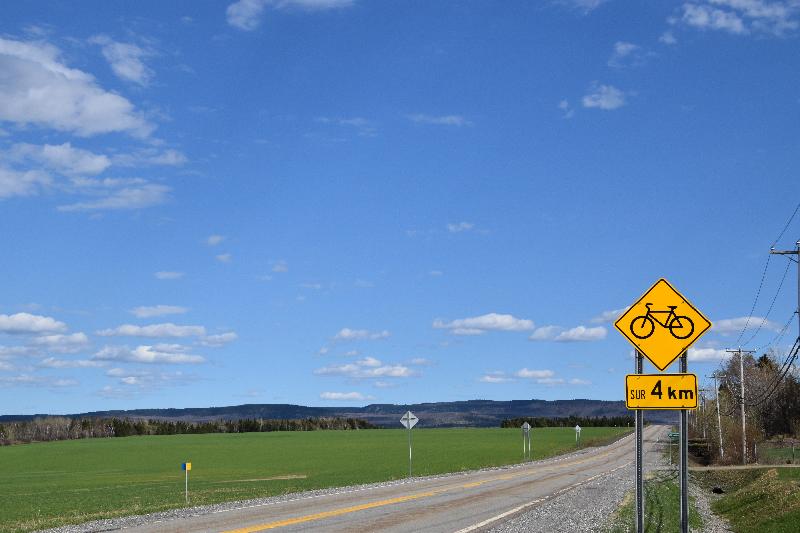 Une route déserte en été