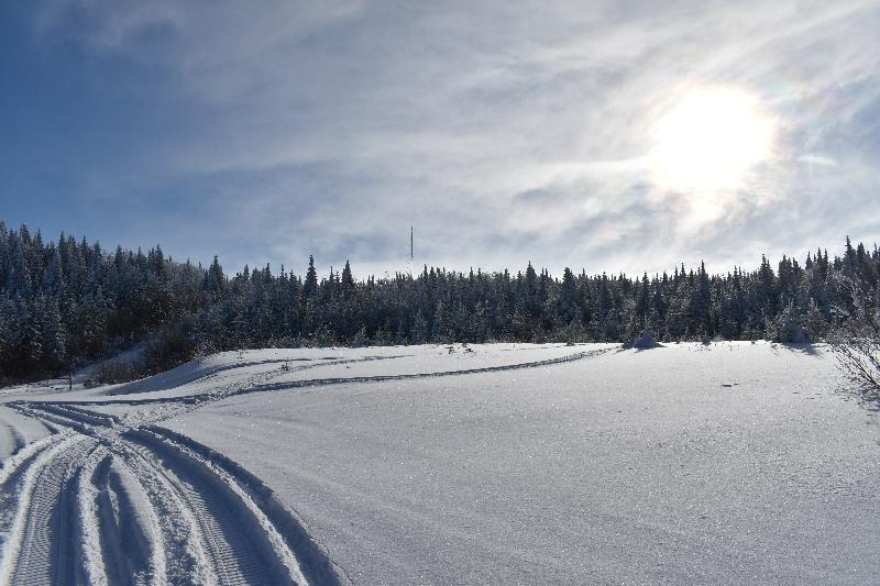 Une trace de motoneige dans un champ