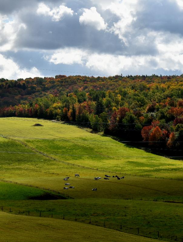 Paysage rural à l'automne