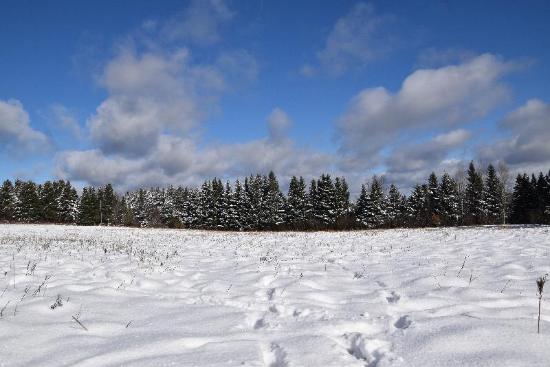 Des traces de pas dans la neige