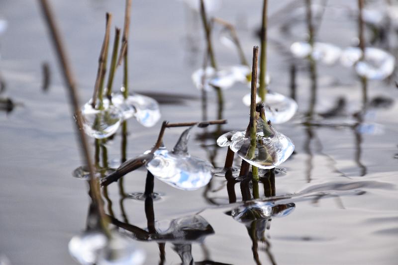 Les premières gelée sur le lac