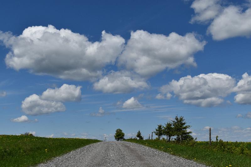 Une route de campagne déserte