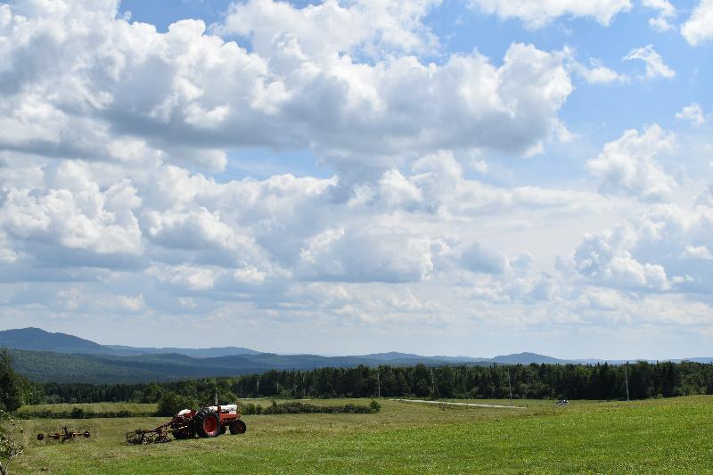 Un champ pendant les récoltes de l'été