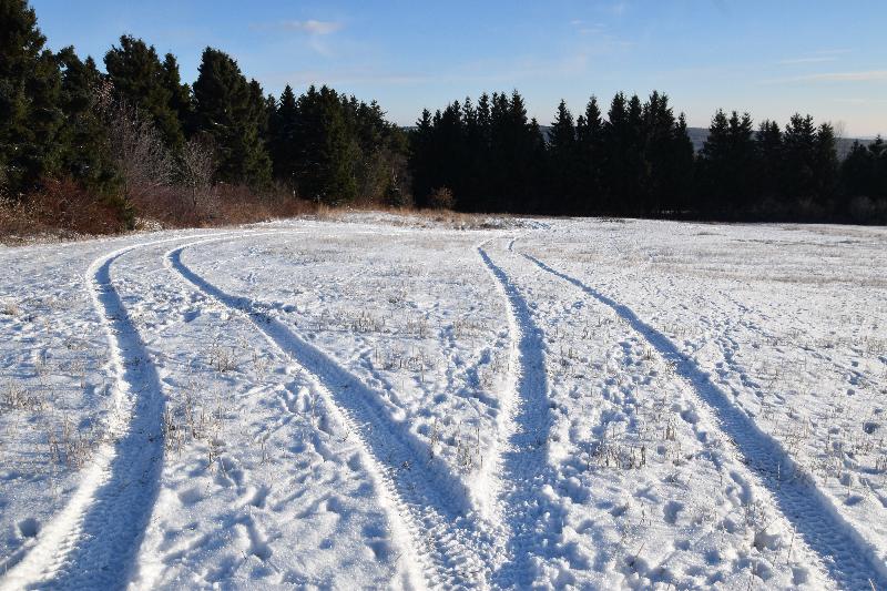 Des traces dans la neige en automne