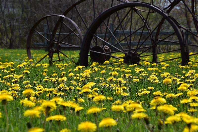 Le parc des Pionniers au printemps