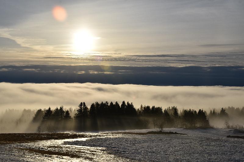 Un brouillard un matin de printemps