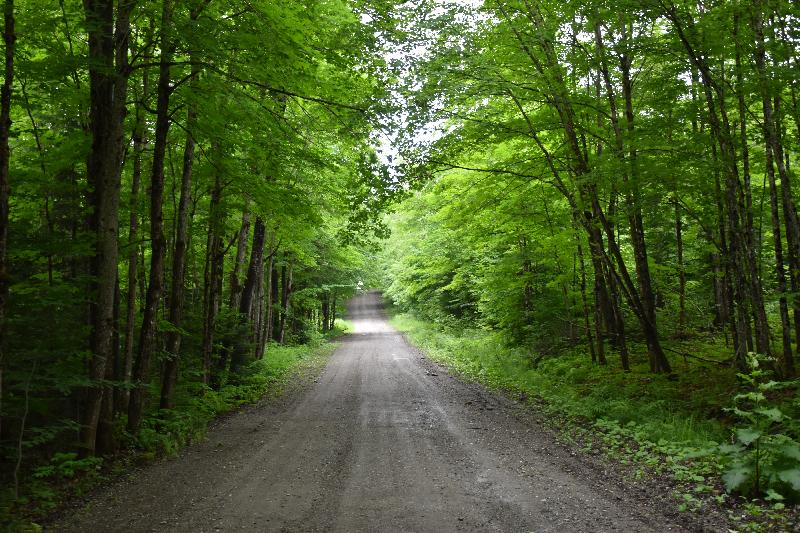 Une route déserte en été