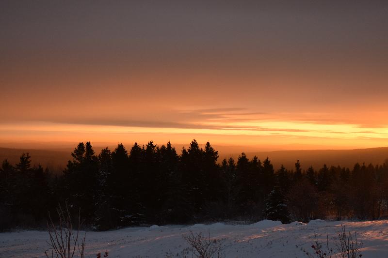 A l'aube d'un matin froid