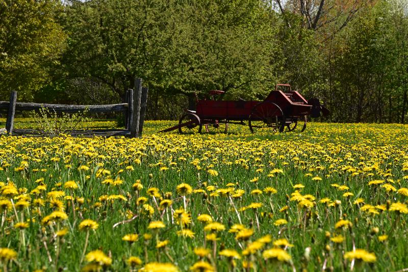 Le parc des pionniers au printemps