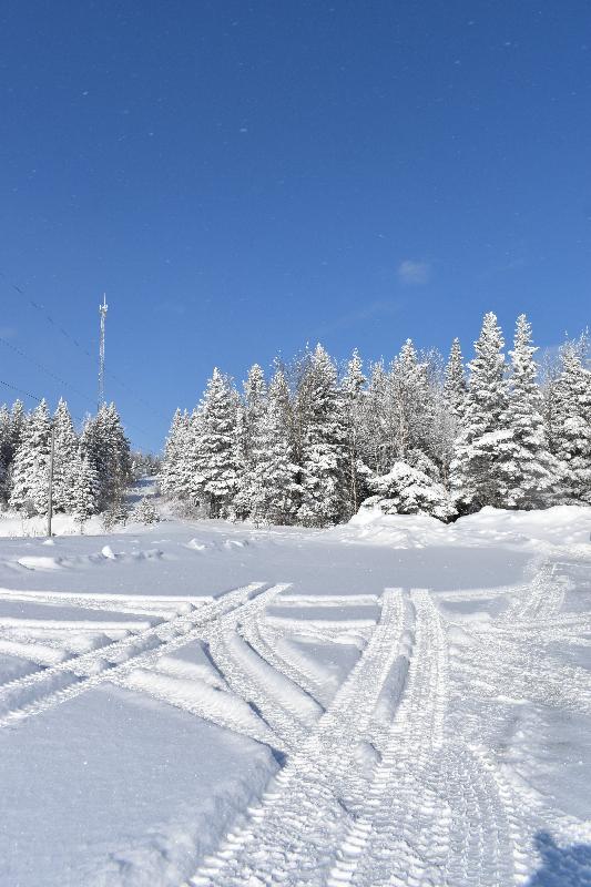 Des traces de pneus sur la route