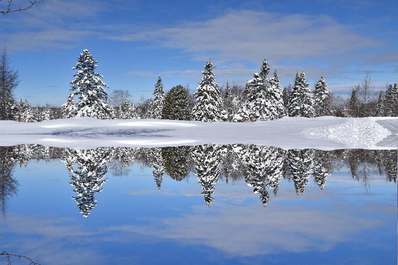 La première neige à l'automne