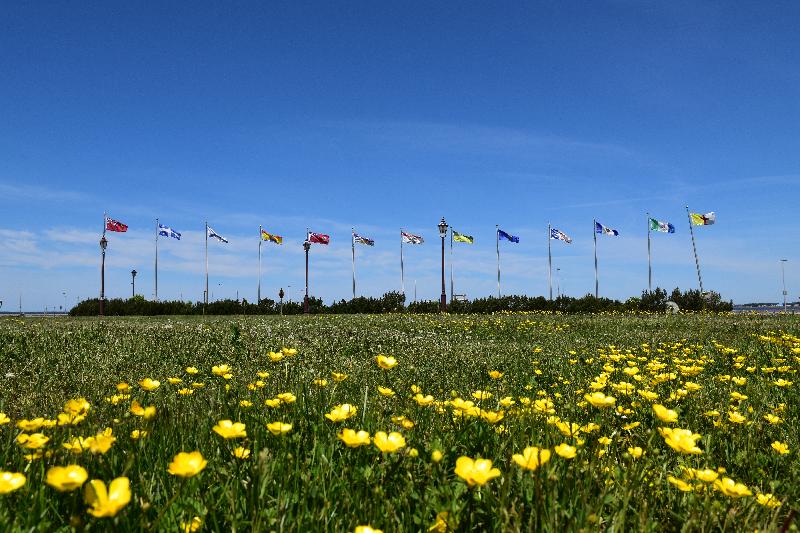 Tous les drapeaux des provinces Canadienne