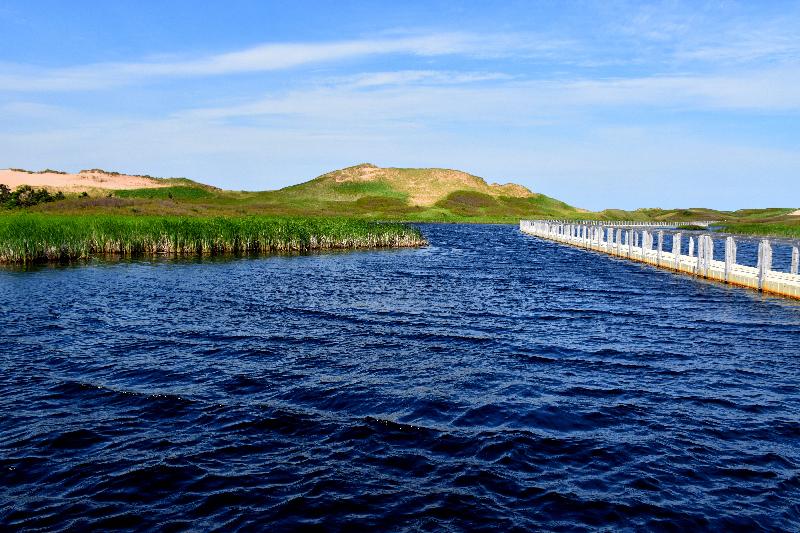 Une passerelle sur l'étang du parc