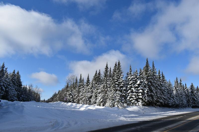 Une route de campagne en hiver