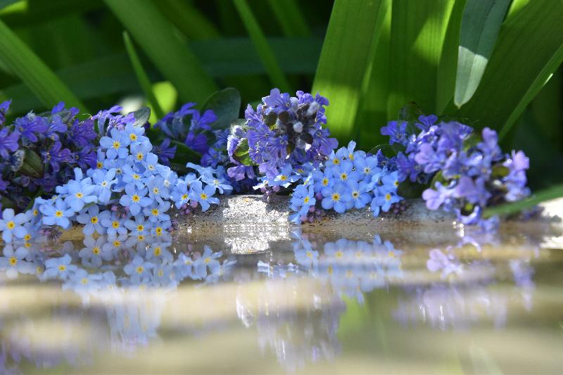 Un bouquet de fleurs au jardin