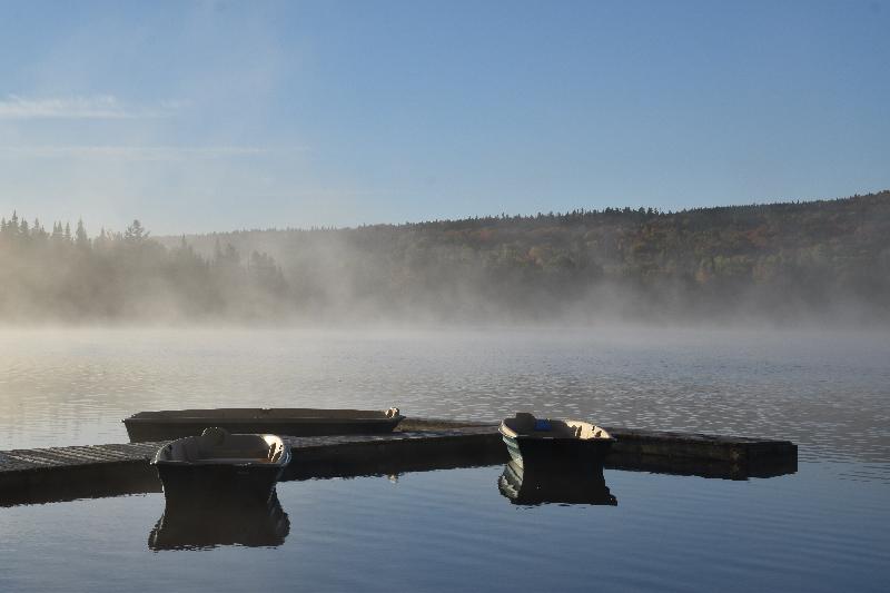 Un brouillard au lac un matin d'automne