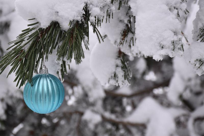 Un arbre de Noël enneigé