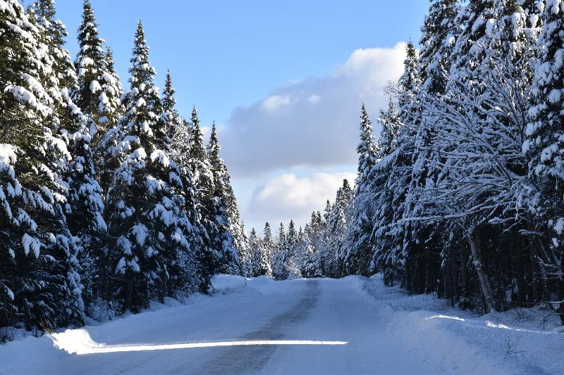 Une route déserte en hiver