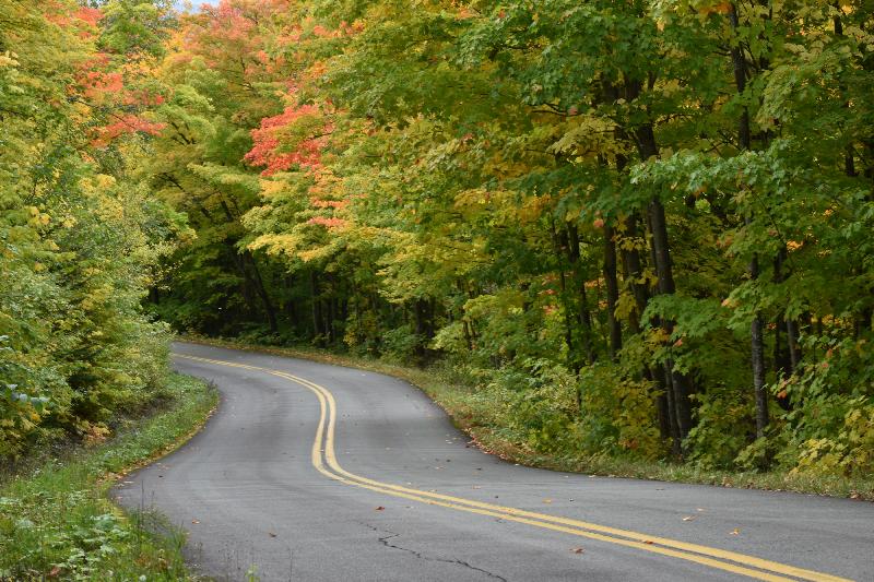 Une route de campagne à l'automne