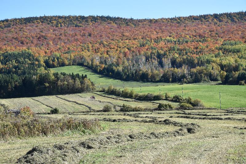 Des champs à l'automne