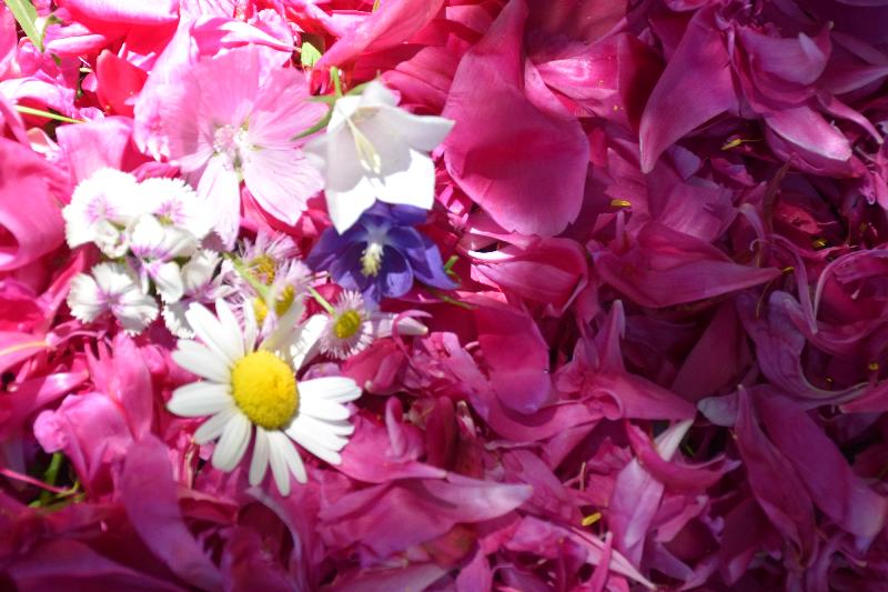 Un bouquet de fleurs au jardin