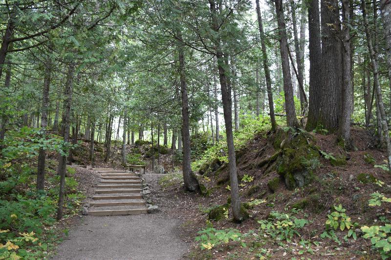 Un sentier en forêt