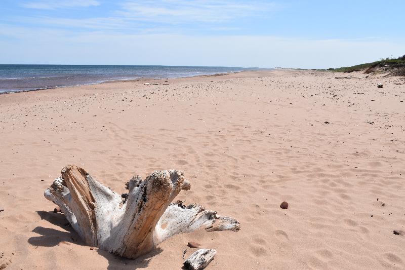 Une plage déserte en été