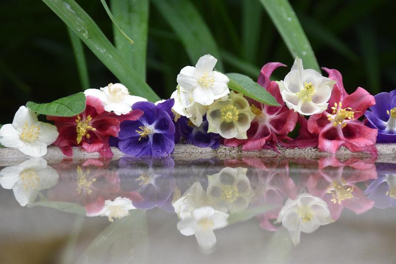 Un bouquet de fleurs au jardin