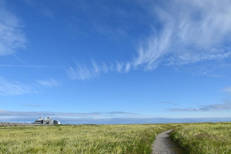 Un sentier en bordure du fleuve