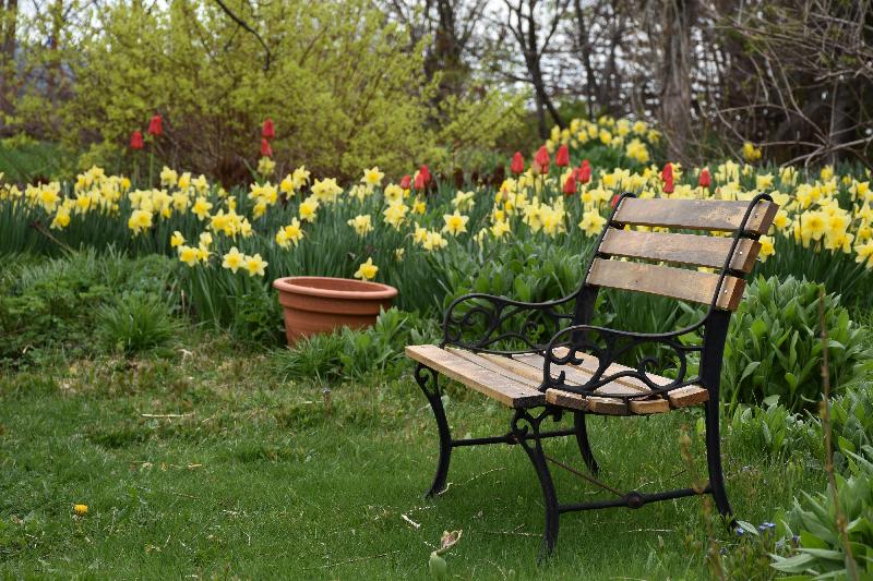 Un banc au jardin au printemps